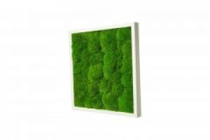 Картина SmartBotanica со стабилизированным мхом 80*80 см в белой деревянной рамке