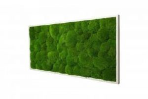 Картина SmartBotanica из стабилизированного мха 40*20 см в белой деревянной рамке