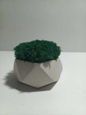 Кашпо с украинским ягелем