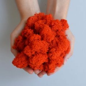 Стабилизированный скандинавский мох Scandia Moss 250 гр Orange А17