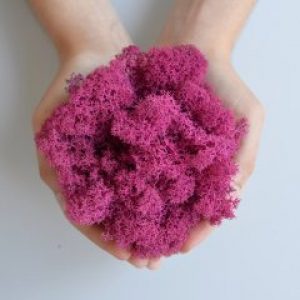 Стабилизированный скандинавский мох Scandia Moss 250 гр Fuxia А13