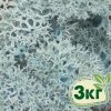 Стабилизированный мох ягель Nordic moss Ледяной голубой 3 кг