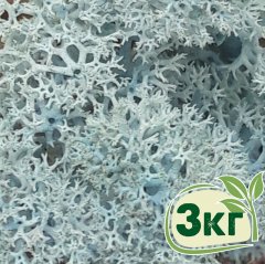 Стабилизированный мох ягель Nordic moss Ледяной голубой 3 кг
