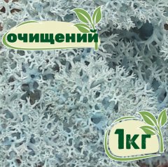 Очищенный стабилизированный мох ягель Nordic moss Ледяной голубой 1 кг