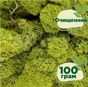 Очищенный стабилизированный мох ягель Nordic moss Зеленый светлый 100 грамм