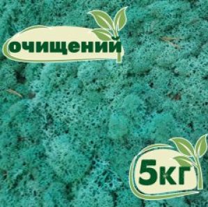 Очищенный стабилизированный мох ягель Nordic moss Изумрудный 5 кг