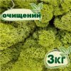 Очищенный стабилизированный мох ягель Nordic moss Зеленый светлый 3 кг
