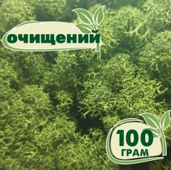 Очищенный стабилизированный мох ягель Nordic moss Зеленый темный 100 грамм