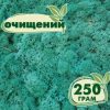 Очищенный стабилизированный мох ягель Nordic moss Изумрудный 250 грамм