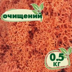 Очищенный стабилизированный мох ягель Nordic moss Сиена 0