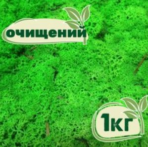 Очищенный стабилизированный мох ягель Nordic moss Зеленый травяной светлый 1 кг