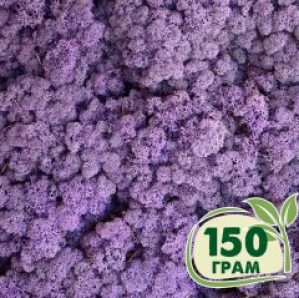 Стабилизированный мох ягель Nordic moss Эрика 150 грамм