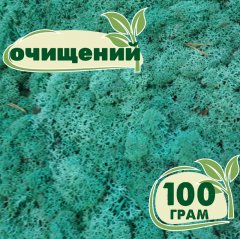Очищенный стабилизированный мох ягель Nordic moss Изумрудный 100 грамм