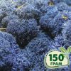 Стабилизированный мох ягель Nordic moss Синий лазурный 150 грамм