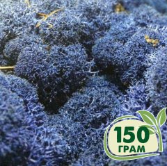 Стабилизированный мох ягель Nordic moss Синий лазурный 150 грамм