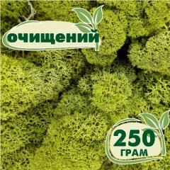 Очищенный стабилизированный мох ягель Nordic moss Зеленый светлый 250 грамм