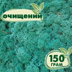 Очищенный стабилизированный мох ягель Nordic moss Изумрудный 150 грамм
