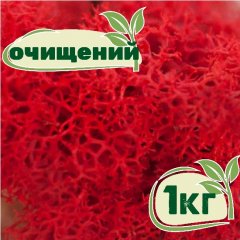 Очищенный стабилизированный мох ягель Nordic moss Красный 1 кг