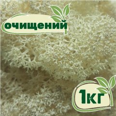 Очищенный стабилизированный мох ягель Nordic moss Натуральный белый 1 кг