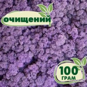 Очищенный стабилизированный мох ягель Nordic moss Эрика 100 грамм