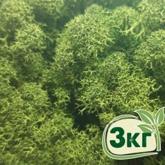 Стабилизированный мох ягель Nordic moss Зеленый темный 3 кг