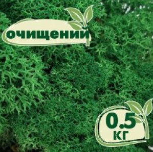 Очищенный стабилизированный мох ягель Nordic moss Зеленый травяной темный 0