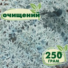 Очищенный стабилизированный мох ягель Nordic moss Ледяной голубой 250 грамм