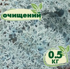 Очищенный стабилизированный мох ягель Nordic moss Ледяной голубой 0