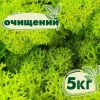 Очищенный стабилизированный мох ягель Nordic moss Зеленый весенний 5 кг