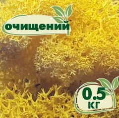 Очищенный стабилизированный мох ягель Nordic moss Желтый лимонный 0