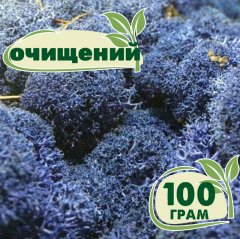 Очищенный стабилизированный мох ягель Nordic moss Синий лазурный 100 грамм