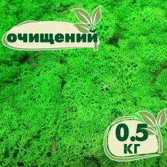 Очищенный стабилизированный мох ягель Nordic moss Зеленый травяной светлый 0