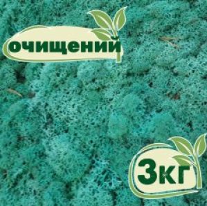 Очищенный стабилизированный мох ягель Nordic moss Изумрудный 3 кг