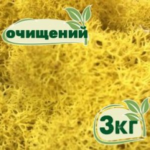 Очищенный стабилизированный мох ягель Nordic moss Желтый классический 3 кг