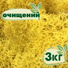 Очищенный стабилизированный мох ягель Nordic moss Желтый классический 3 кг