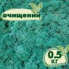 Очищенный стабилизированный мох ягель Nordic moss Изумрудный 0