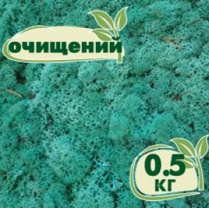 Очищенный стабилизированный мох ягель Nordic moss Изумрудный 0