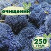 Очищенный стабилизированный мох ягель Nordic moss Синий лазурный 250 грамм