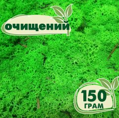 Очищенный стабилизированный мох ягель Nordic moss Зеленый травяной светлый 150 грамм