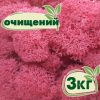 Очищенный стабилизированный мох ягель Nordic moss Цикламен 3 кг