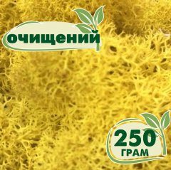 Очищенный стабилизированный мох ягель Nordic moss Желтый классический 250 грамм