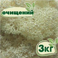 Очищенный стабилизированный мох ягель Nordic moss Натуральный белый 3 кг
