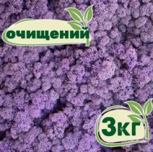 Очищенный стабилизированный мох ягель Nordic moss Эрика 3 кг