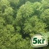 Стабилизированный мох ягель Nordic moss Зеленый темный 5 кг