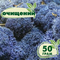 Очищенный стабилизированный мох ягель Nordic moss Синий лазурный 50 грамм