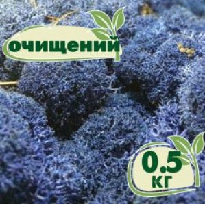 Очищенный стабилизированный мох ягель Nordic moss Синий лазурный 0