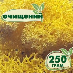 Очищенный стабилизированный мох ягель Nordic moss Желтый лимонный 250 грамм