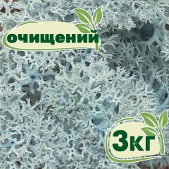 Очищенный стабилизированный мох ягель Nordic moss Ледяной голубой 3 кг