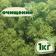 Очищенный стабилизированный мох ягель Nordic moss Зеленый темный 1 кг