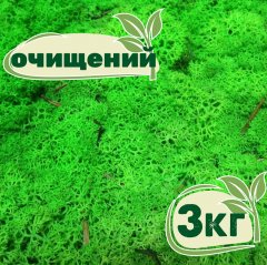 Очищенный стабилизированный мох ягель Nordic moss Зеленый травяной светлый 3 кг